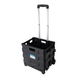 Chariot-Caisse Pliant 25 kg - Pratique et Léger - Idéal pour Transporter vos Effets - Silverline
