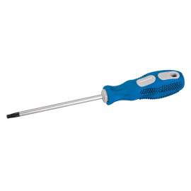 Tournevis à Usage Général T25 - Longueur 100 mm - Précision et Confort d'Utilisation - Silverline