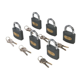 Cadenas Interchangeables 50 mm - Lot de 6 - Sécurisez Vos Effets Personnels - Silverline