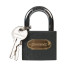 Cadenas Interchangeables 50 mm - Lot de 6 - Sécurisez Vos Effets Personnels - Silverline