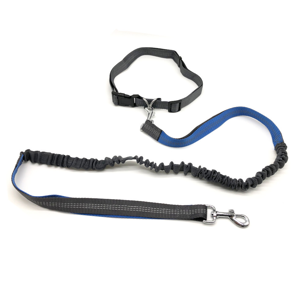 Laisse ceinture de training réfléchissante 25 mm x 1,9 M avec absorbeur de  chocs pour chiens - Animood