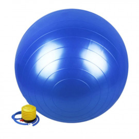 Palla da ginnastica/fitness infrangibile D. 65 cm in PVC (blu) + pompa per il gonfiaggio - D-Work