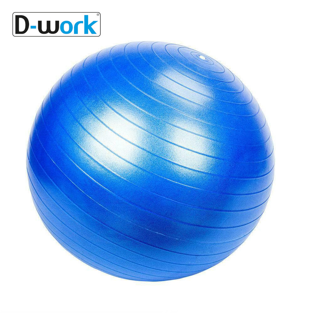 Housse Ball pour Ballon Fitness 65 Cm Swiss Ball Bureau/Ballon pour  Grossesse/Ballon Siege pour la Maison, Le Pilates, Le Yoga, avec Poignée