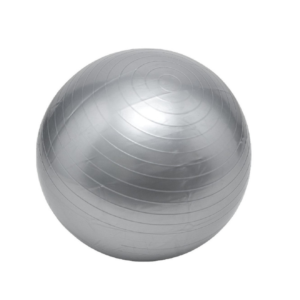 Ballon de Gym, d'Exercices Fitness, Grossesse, Pilates, Yoga, Ballon  d'Equilibre D. 65 cm en PVC Anti-Eclatement (Gris) - D-Work