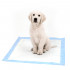 30 tapis d'apprentissage d'hygiène jetables 60 x 60 cm pour chiens/chiots - DM03 - Happet