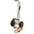 Kit Désherbant Thermique avec Tuyau et Chariot à Roues Gonflables – 6.7 kg – Efficace et Pratique pour le Jardinage - RIBIMEX