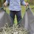 Bâche Ramasse Déchets Verts 2,9m - 1,3m - 6 Poignées - Pratique et Résistante - D-Work