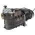 Pompe Piscine 650W - 8.7 kg - Performance Énergétique et Fiabilité - D-Work