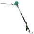 Taille-Haie Électrique 450W Télescopique - Tête Orientable - Pratique et Efficace - D-Work