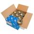 Coil de 9000 Pointes Annelées 16° – D. 2,5/2,7 x 60 mm – Fixation Sécurisée et Durable - ALSAFIX