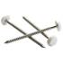 20 000 Finettes Brads en Bande Stanox - 0.6x35 mm - D-Work