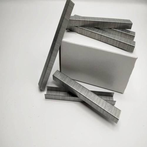 6000 Agrafes P-14 Galva – 6000 pièces – Acier Galvanisé – Fixation Durable et Résistante - ALSAFIX