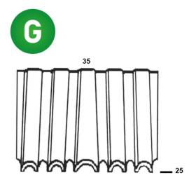 5 000 Agrafes Croco 35 x 25 mm – 6WN251 – Fixation Efficace et Durable - ALSAFIX