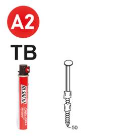 2 200 Pointes Annelées Inox Tête Bombée en Bande 20° (Pack) - 2.9x50 mm + 2 Cartouches de Gaz Rouge - D-Work