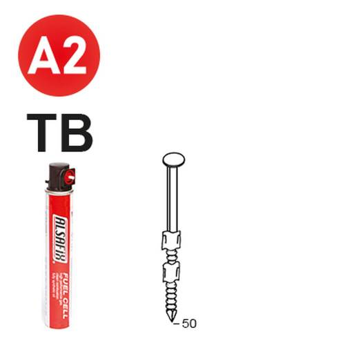 Pack de 2 Pointes Annelées INOX Tête Bombée 50 mm – D.2,9 cm, 20° – Fixation Sécurisée et Durable - ALSAFIX