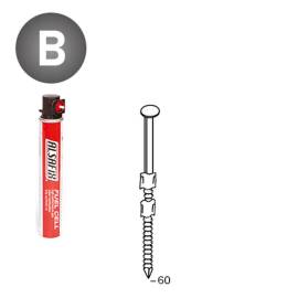 Pack de 2 Pointes Annelées 20° D.2,9 x 60 mm – 2 Cartouches de Gaz Rouge GAZ0010 – Fixation Efficace et Pratique - ALSAFIX