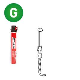 Pack de 2 Pointes Annelées Galvanisées 20° D.2,9 x 60 mm – 2 Cartouches de Gaz Rouge GAZ0010 – Fixation Sécurisée et P - ALSAFIX