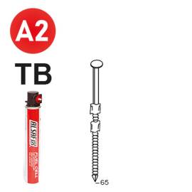 Pack de 2 Pointes Annelées INOX Tête Bombée 20° D. 2,9 x 65 mm – 2 Cartouches de Gaz Rouge GAZ0010 – Fixation Sécurisé - ALSAFIX