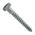 Vis BT 10 pcs 60 mm – Inox, Norme DIN – Résistantes et Durables - ALSAFIX
