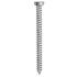 10 Vis d'Ancrage Who Tête Cylindrique Tx25 - 7.5x132 mm - D-Work