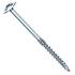 50 Vis à Bois Tête Large Bombée D.8 x 140 mm – Galvanisées, TX 40 – Fixation Solide et Durable - ALSAFIX