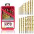 Jeu de Forets à Métaux 1-10 mm - 19 Pcs - Acier HSS - Précision et Performance - Usage Professionnel - Beast