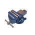 Étau Parallèle 100 mm - Fonte - 5.6 kg - Robuste et durable - Usage Professionnel - Beast