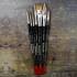 Assortiment de Pinceaux 7x - 7 Pinceaux - Polyvalents pour Peinture - Idéal pour Artistes - Haute performance - Beast