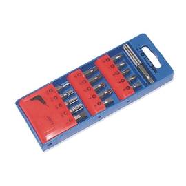 Jeu d'Embouts Magnétiques 16x - Précision et polyvalence - Idéal pour Vis et Boulons - Beast