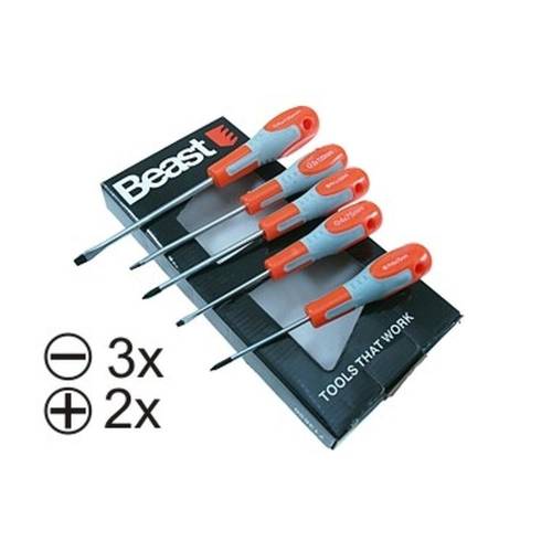 Jeu de Tournevis 5x - 75-125 mm - Magnétisés - Acier au Chrome Vanadium - Précision et durabilité - Beast