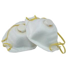 Jeu de Masques Anti-Poussière FFP2 - Lot de 2 - Norme EN149 - Protection Efficace - Qualité Professionnelle - Beast