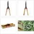 Cisaille à Haie 510 mm - Outil de Jardinage - Précision et efficacité - Beast