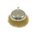 Brosse Couvette Acier 100 mm - Pivot 6 mm - Résistante et Efficace - Beast