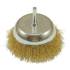 Brosse Couvette Acier 100 mm - Pivot 6 mm - Résistante et Efficace - Usage Professionnel - Beast