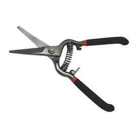 Sécateur 200 mm - Précision et Confort - Idéal pour Taille de Plantes - Usage Professionnel - Beast