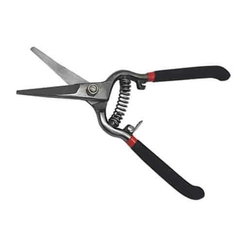 Sécateur 200 mm - Précision et Confort - Idéal pour Taille de Plantes - Usage Professionnel - Beast