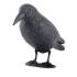 Corbeau Épouvantail 38 cm - Plastic - Décoration de Jardin - Effet Dissuasif - Efficace et robuste - Beast