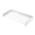 Séchage à Ligne 80x10x40 cm - Aluminium Pliable - Max 25 kg - Pratique et efficace - Efficace et robuste - Beast