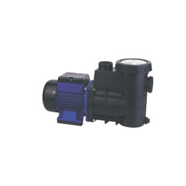 Pompe Entrée de Gamme PPE 0,78 CV - 14,5 m3/h - Mono - Fiable et Performante - BERING