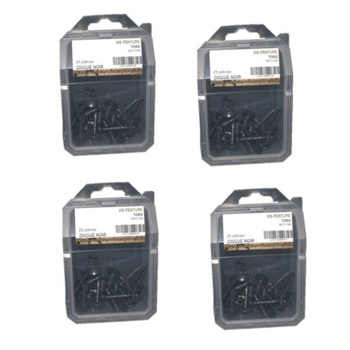 4 Coques de 25 Vis Penture Torx 6 x 50 mm - Zingué Noir - D-Work