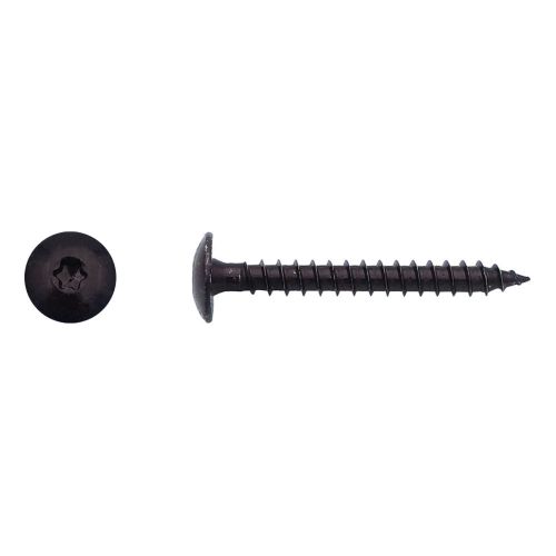 100 Vis Pent Torx 6x60 mm – Zingué Noir – Résistantes et Durables - LENNIE