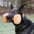 Apportable bois d'hêtre IPO 1000g pour R.C.I et Obéissance de sport canin - 4027 - ABC Sport Klin