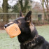 Apportable bois d'hêtre IPO 1000g pour R.C.I et Obéissance de sport canin - 4027 - ABC Sport Klin