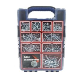 Coffret 755 Vis Autoperceuses Tête Fraisée, Cylindrique et Hexagonale - Zingué blanc - D-Work