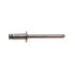 250 Rivets Aveugles Tête Ronde GORIVET TRS 4.8 x 8 mm - Inox A4 - D-Work