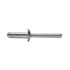 250 Rivets Structure Tout Acier TR Highlock TRS 6.4x10 mm - Résistants et Fiables - - D-Work