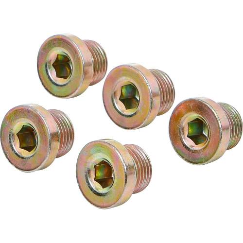 Bouchons de Vidange M17 x 1,5 mm - Lot de 5 Pièces - Étanchéité Fiable et Durable - BGS