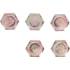 Bouchons de Vidange M15 x 1,5 mm - Lot de 5 Pièces - - Étanchéité Fiable et Durable - BGS