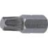 Embout Torx T50 93 mm - Transmission Hexagone Mâle 10 mm (3/8) - Précision et Robustesse, Acier - D-Work