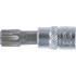 Douille à Embouts 6,3 mm (1/4 ) Profil Torx T50 Précision et Robustesse - BGS